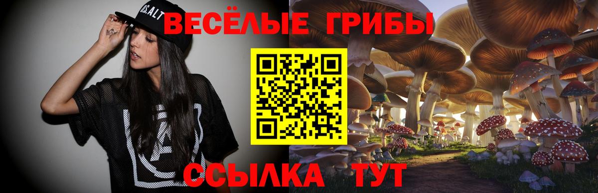 Мурманск  Псилоцибиновые грибы Psilocybe  Вход с VPN 